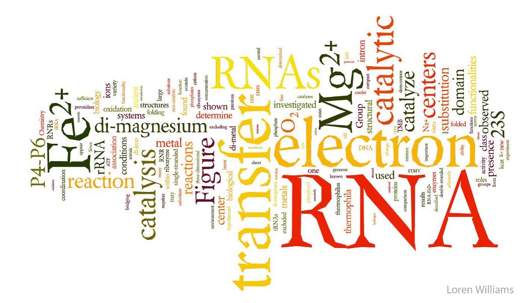 RNA_iron_word