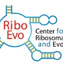ribo_evo_logo