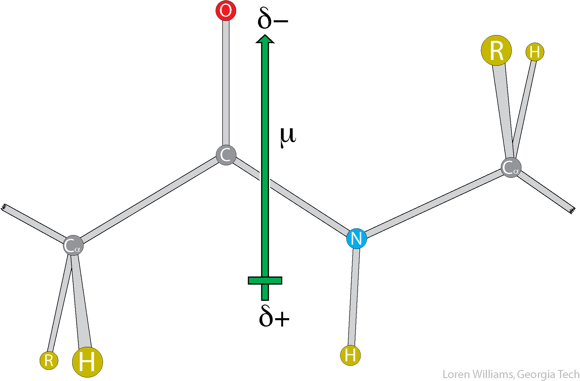 peptide dipole moment