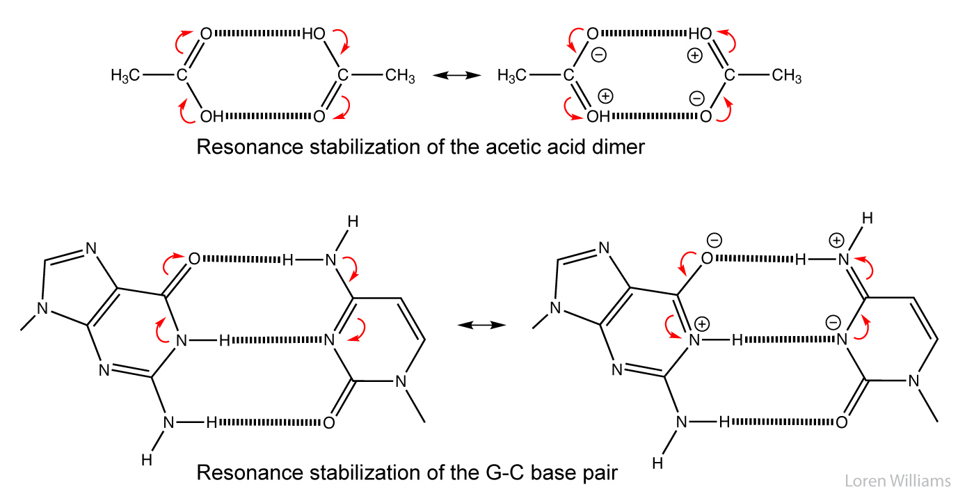 Hydrogen bonding in life - Labster Theory