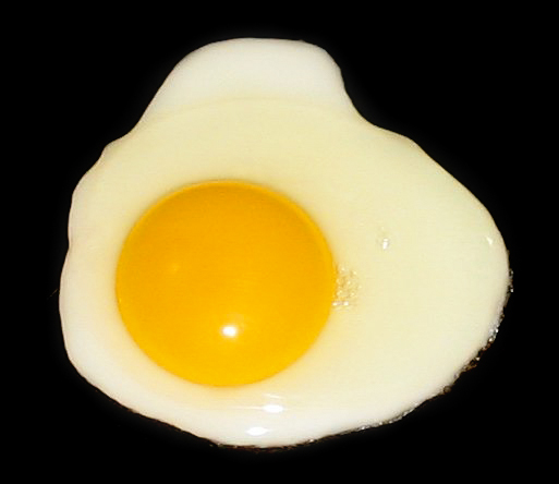 fried egg