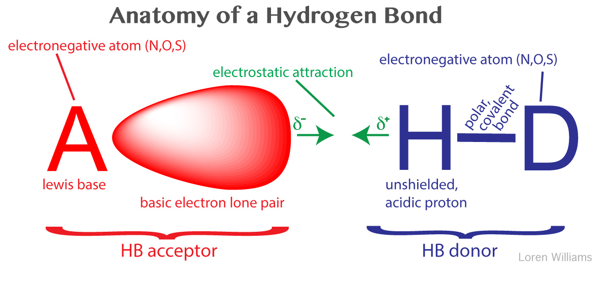 Molecular Interactions Noncovalent Interactions 