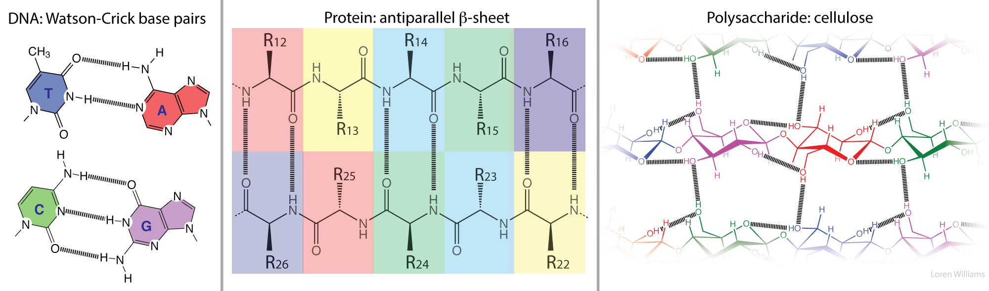 Molecular Interactions Noncovalent Interactions