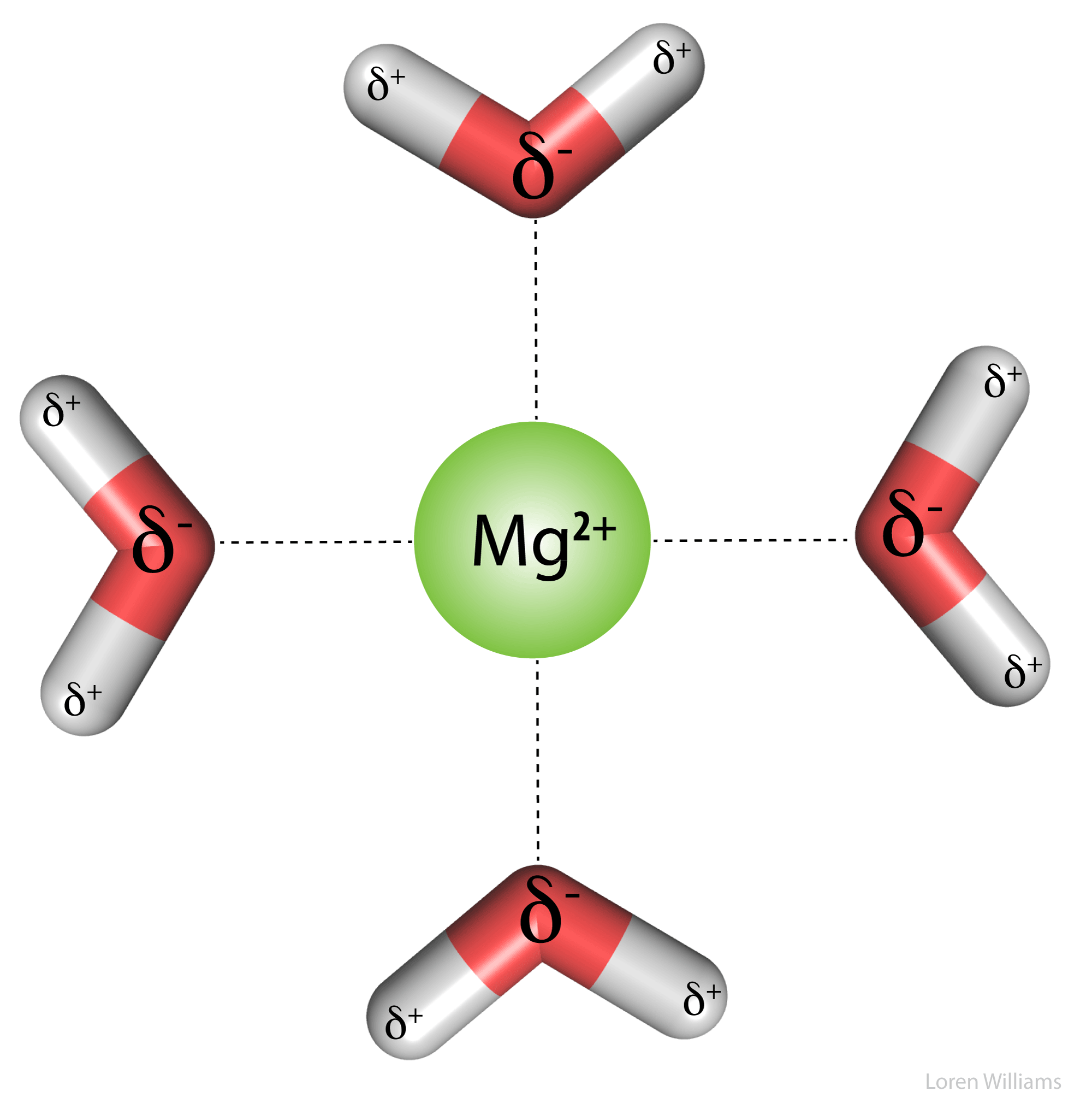 dipole-charge interactions,charge-dipole interactions, ion-dipole interactions