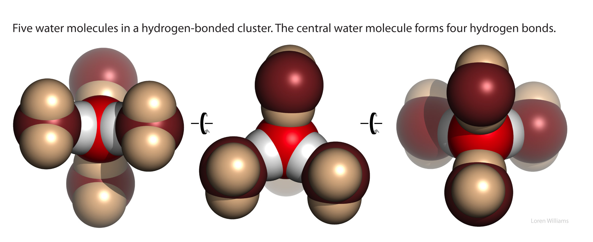 H bond water