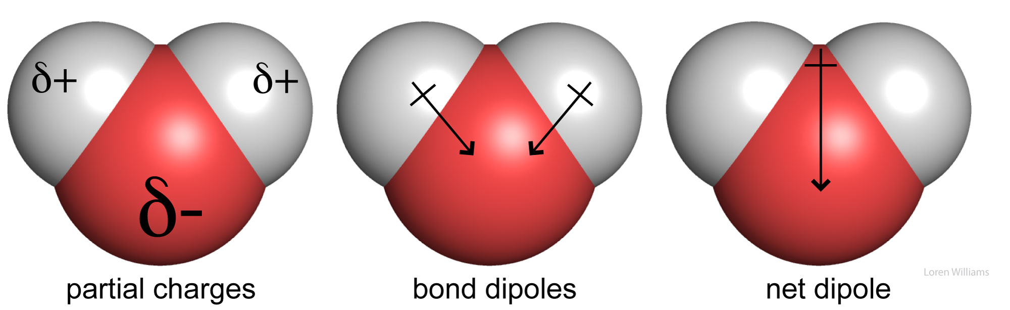 bond dipole / molecular dipole