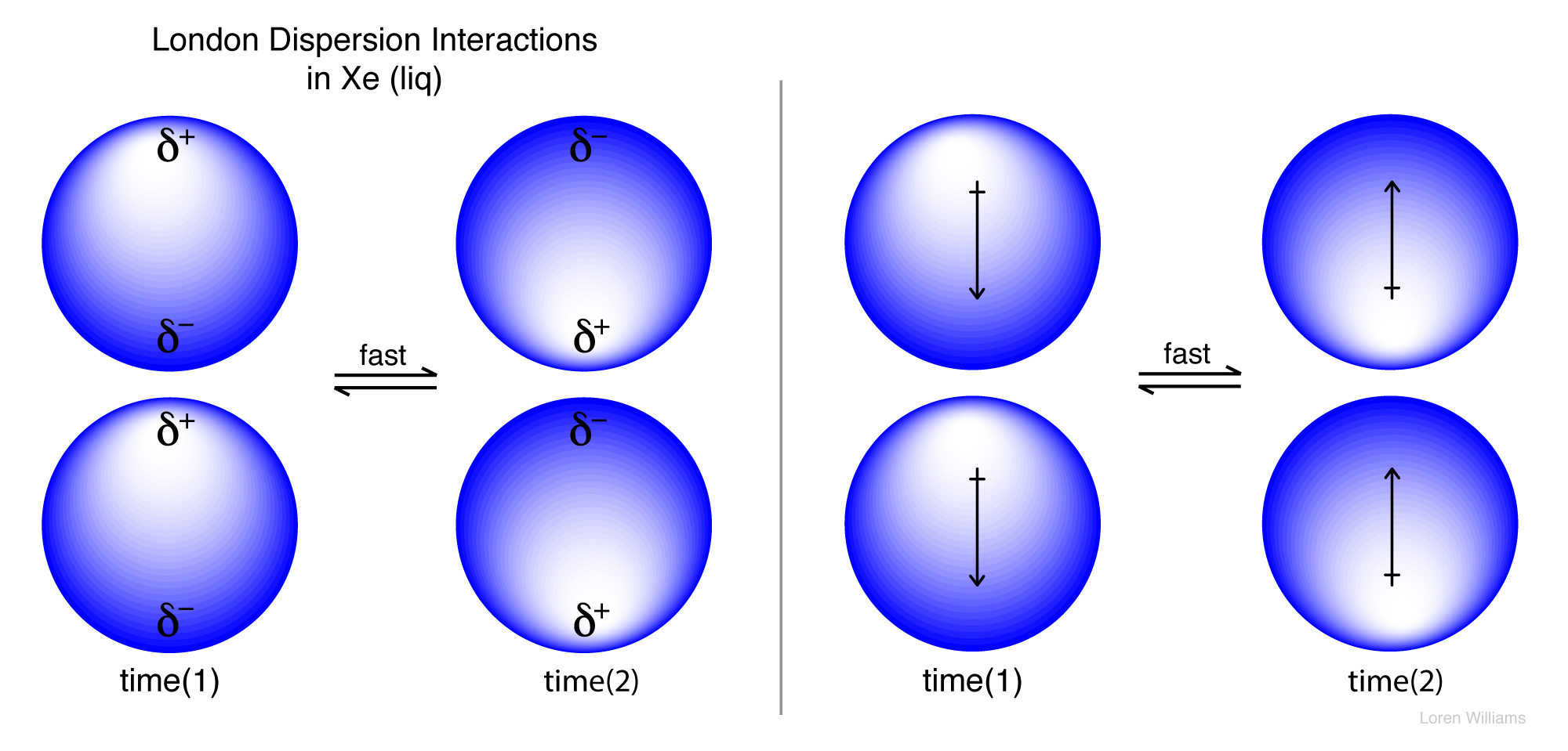 ineteractiosn